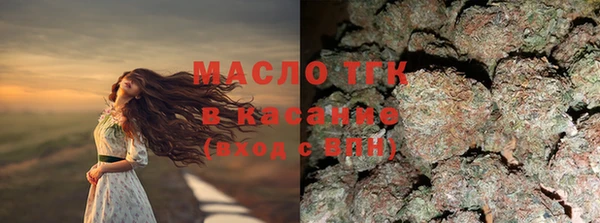 хмурый Алзамай