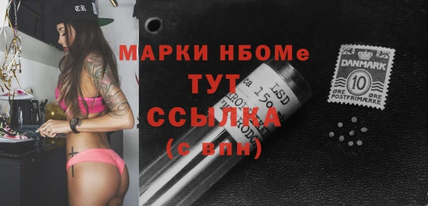 хмурый Алзамай