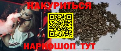 прущие грибы Северобайкальск
