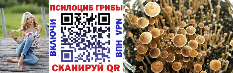 Галлюциногенные грибы прущие грибы  Балашов 