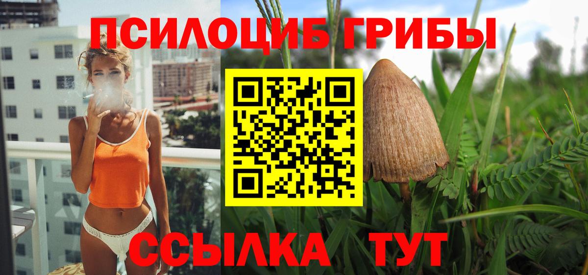 Балашов  Галлюциногенные грибы MAGIC MUSHROOMS  Вход с VPN 